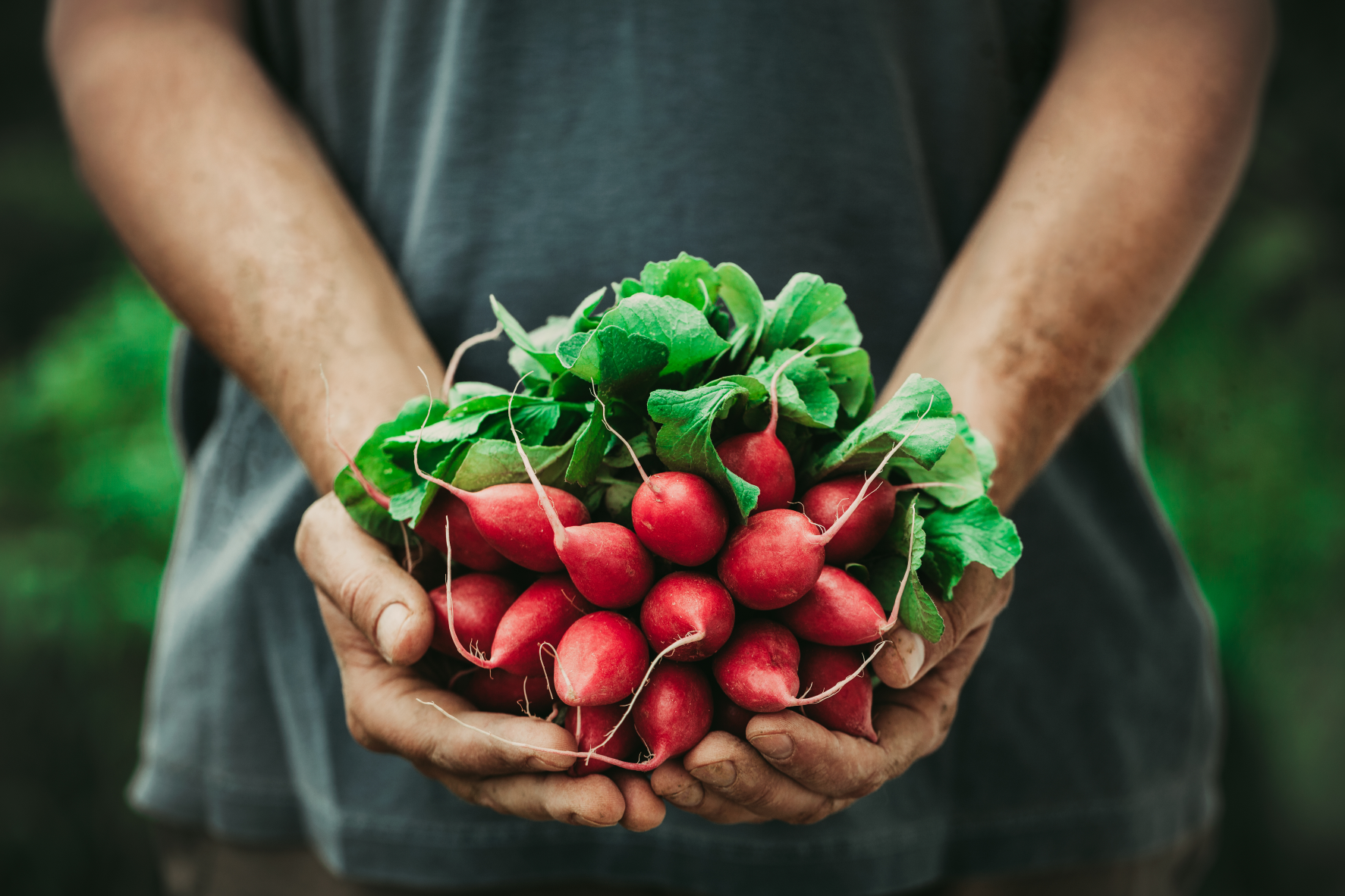 Austin Fresh 2022 Grants Announced